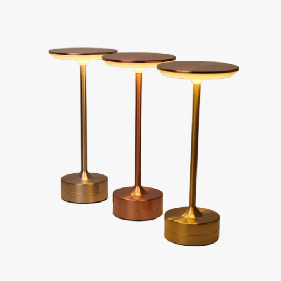 Modern Metal LED Desk Lamp with Stepless Brightness Adjustment