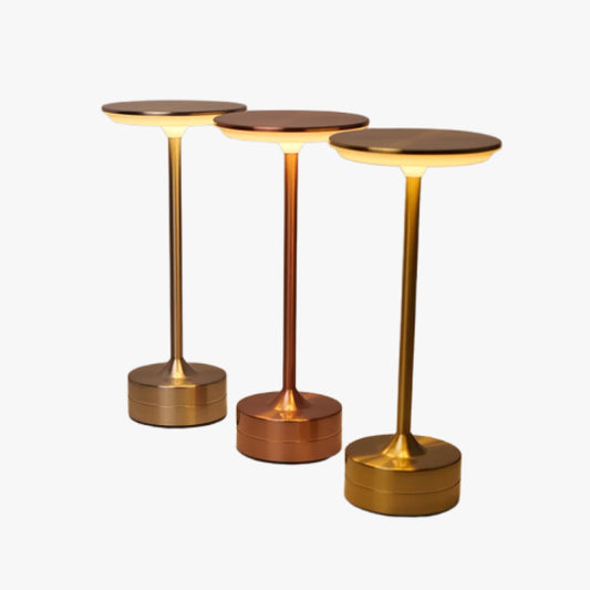 Modern Metal LED Desk Lamp with Stepless Brightness Adjustment