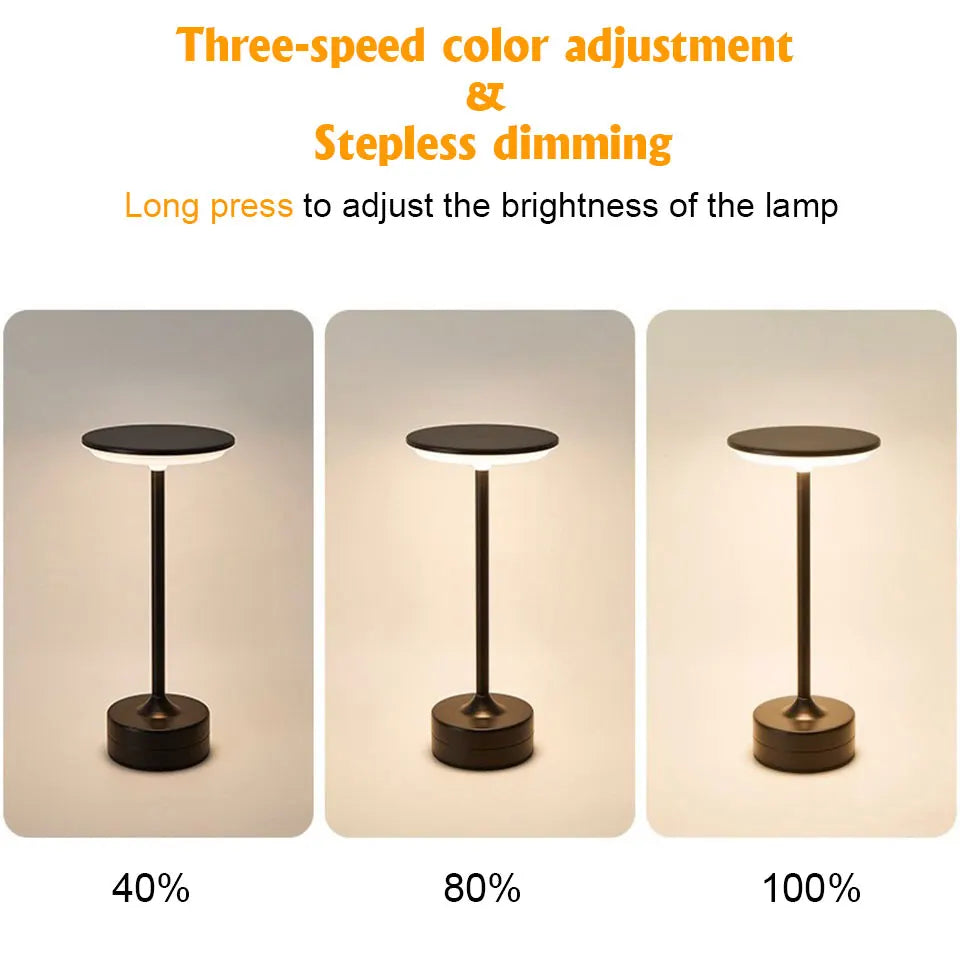 Modern Metal LED Desk Lamp with Stepless Brightness Adjustment