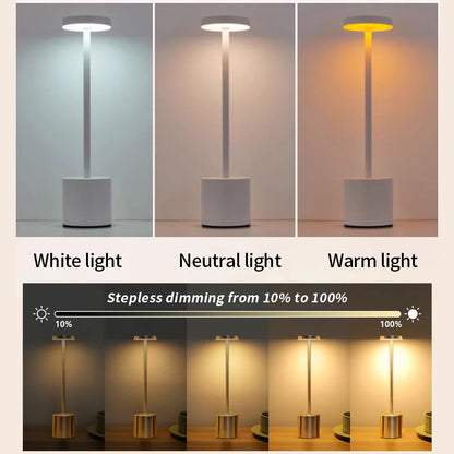 Classic LED Desk Lamp with 3 Colour Modes and Rechargeable Battery